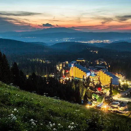 Tes Flora Borovets