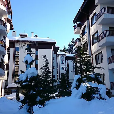 Apartment Tes Flora