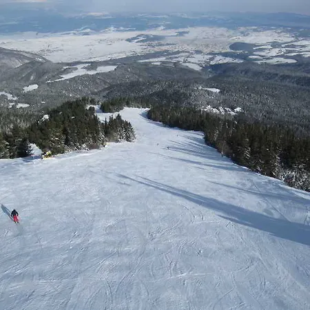 Apartment Tes Flora Borovets