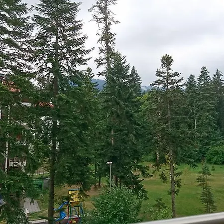 Tes Flora * Borovets