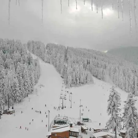 Apartment Tes Flora *