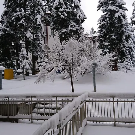 Appartamento Tes Flora *