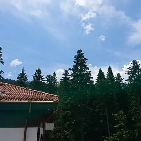 Tes Flora Lägenhet *