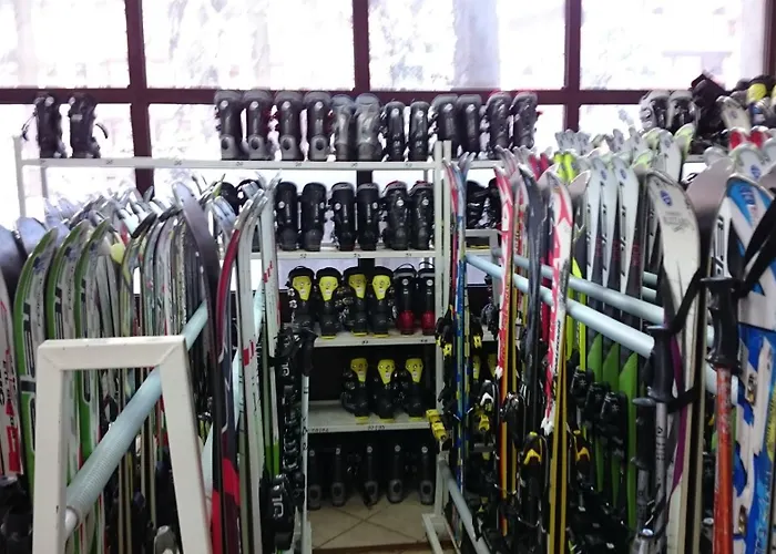 Tes флора Боровец