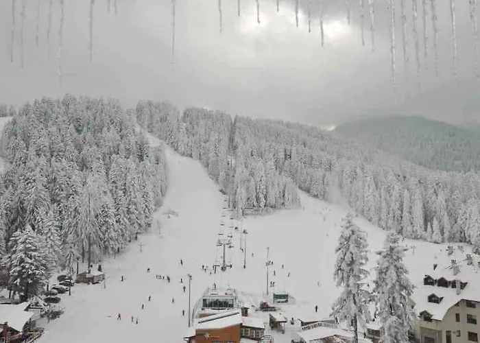 Апартамент Tes флора *