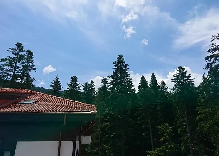 Tes флора Апартамент *